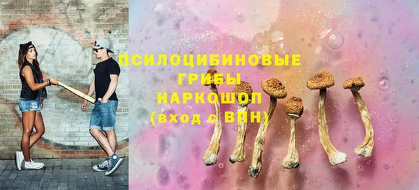 трава Алзамай