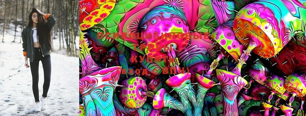 PSILOCYBIN Алексин