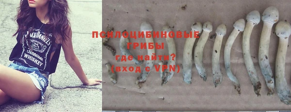 PSILOCYBIN Алексин
