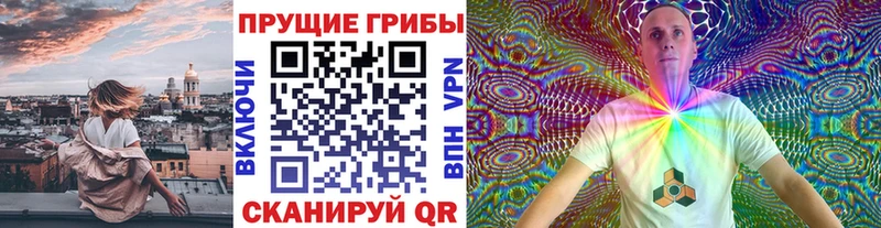 OMG онион  как найти наркотики  Можга  Галлюциногенные грибы Psilocybe 